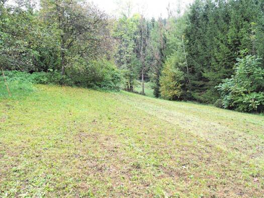 Grundstück zum Kauf 1.578 m² Grundstück Sankt Barbara im Mürztal 8661