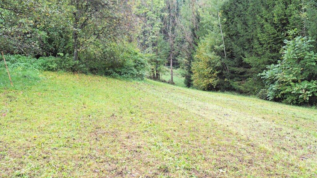 Grundstück zum Kauf 1.578 m² Grundstück Sankt Barbara im Mürztal 8661