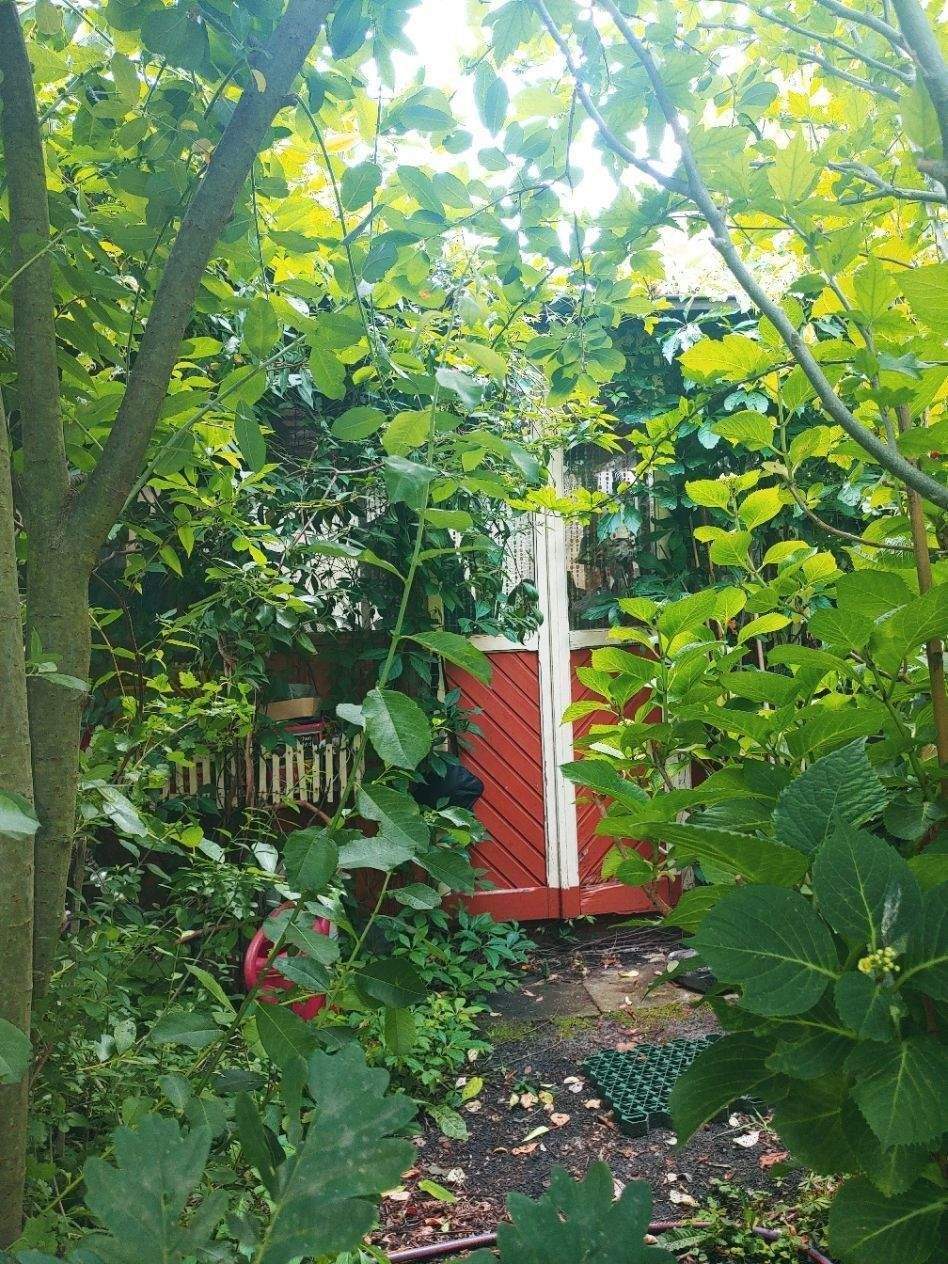 Property thumbnail 9