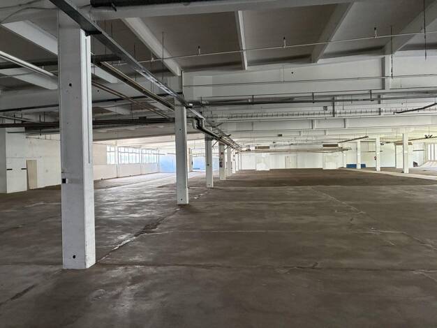 Lagerhalle zur Miete provisionsfrei 10.350 € 4.332 m² Lagerfläche Zur Riete 4 Nettelstedt Lübbecke 32312