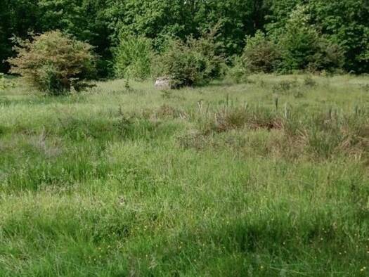 Grundstück zum Kauf 5.400.000 € 1.100.000 m² Grundstück Pescari 317153