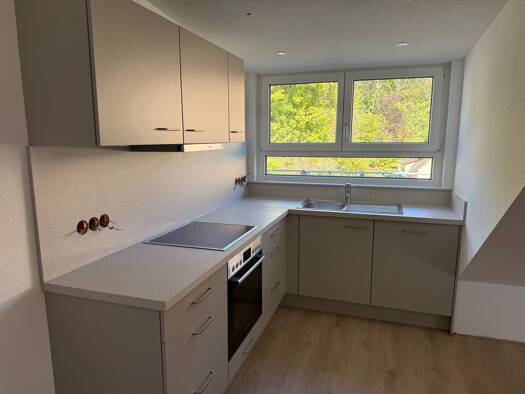 Wohnung zur Miete 920 € 3 Zimmer 56 m² frei ab 01.11.2026 Unterjesingen Tübingen 72070