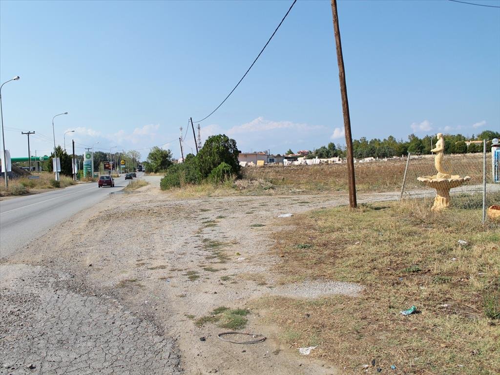 Land-/Forstwirtschaft zum Kauf 530.000 € 5.500 m²<br/>Grundstück Chalkidiki