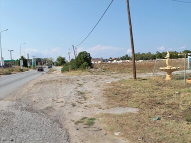 Land-/Forstwirtschaft zum Kauf 530.000 € 5.500 m² Grundstück Chalkidiki