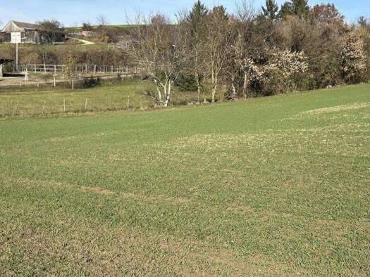 Grundstück zum Kauf 87.620 € 674 m² Grundstück Großweikersdorf 3701
