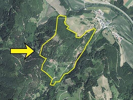 Land-/Forstwirtschaft zum Kauf 547.470 € 322.041 m² Grundstück Eberstein 9371