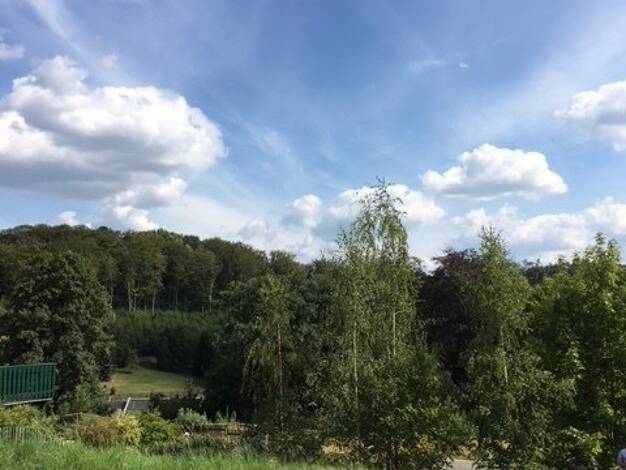 Einfamilienhaus zum Kauf provisionsfrei 458.399 € 4 Zimmer 130 m² 890 m² Grundstück Lengefeld Pockau-Lengefeld 09514