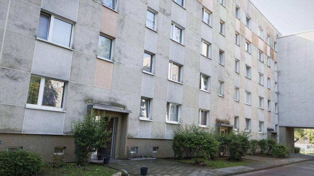 Wohnung zur Miete 325 € 2 Zimmer 50,7 m² 4. Geschoss Wladimir-Komarow-Eck 6 Frankfurt Frankfurt (Oder) 15236