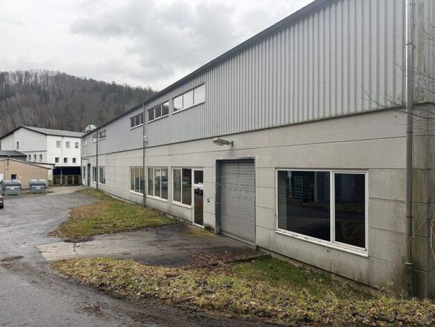 Produktionshalle zum Kauf provisionsfrei 590.000 € 2.600 m² Lagerfläche Großrückerswalde 09518