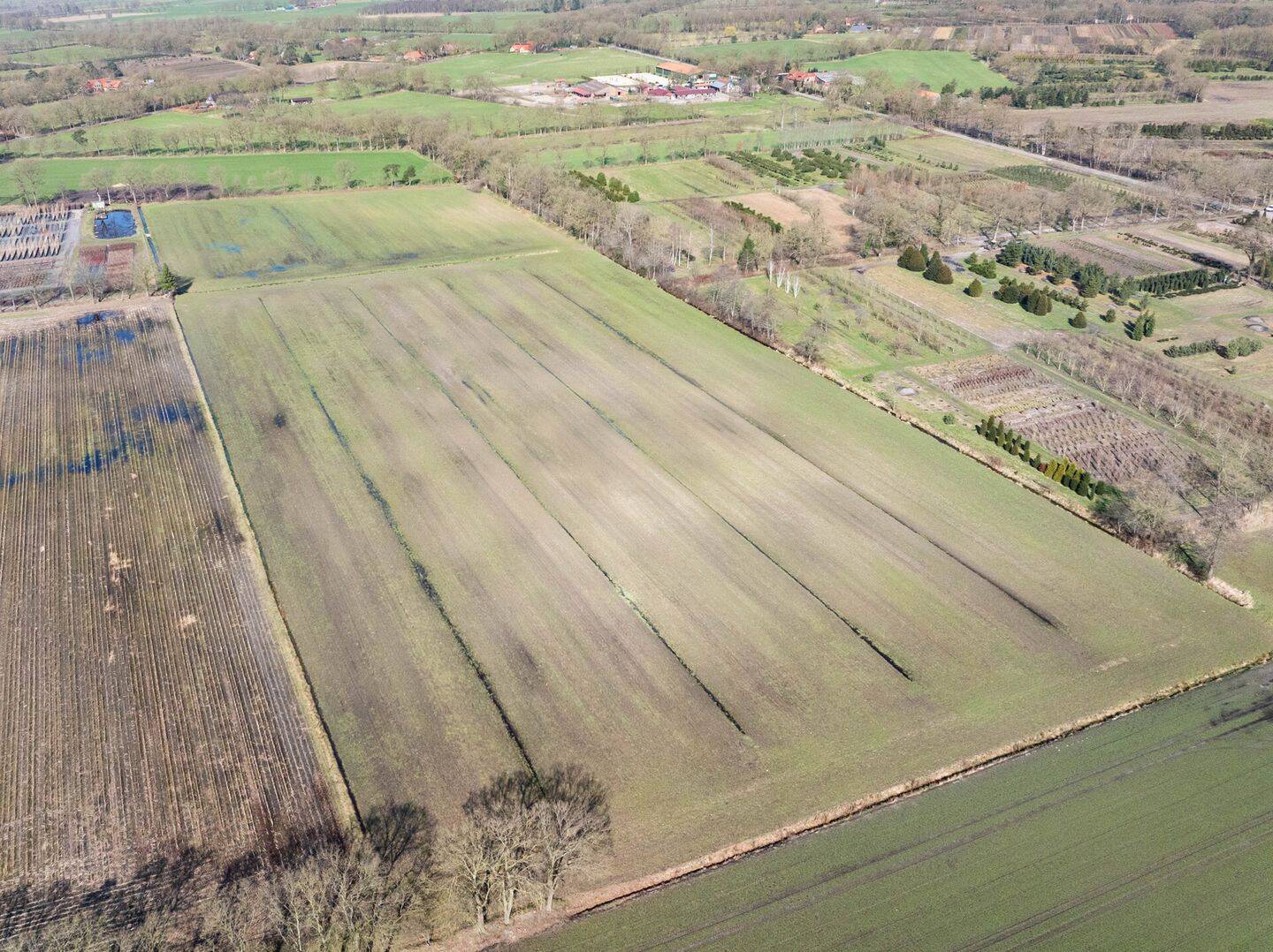 Landwirtschaftliche Fläche zum Kauf - Ansicht 3