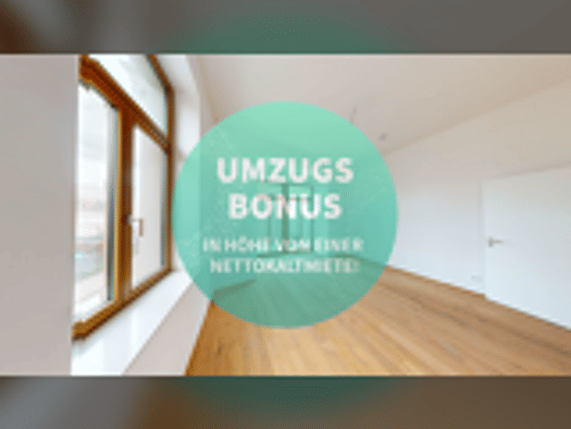 Studio zur Miete - Erstbezug 685 € 1 Zimmer 46,5 m² 2. Geschoss Glauchaer Straße 57e Innenstadt Halle ( Saale) 06110