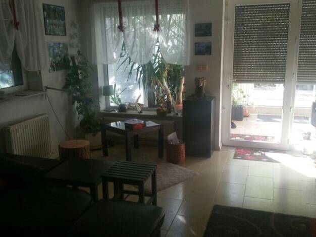 Wohnung zur Miete 2.080 € 2,5 Zimmer 116 m² EG Adlershof Treptow-Köpenick 12489