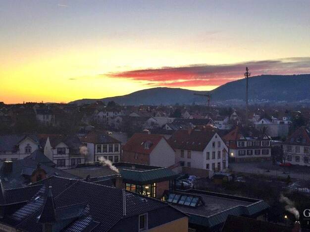 Wohnung zur Miete 780 € 2 Zimmer 67 m² 5. Geschoss frei ab 01.01.2026 Edenkoben 67480