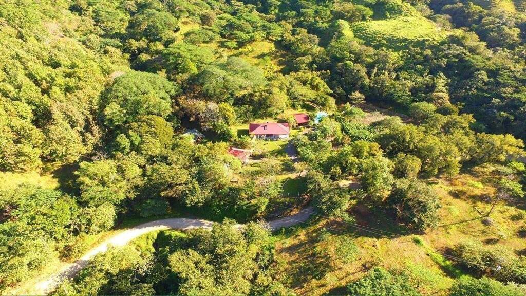 Haus zum Kauf provisionsfrei 1.538.000 € 10 Zimmer 370 m² 121.000 m² Grundstück Miramar 60401