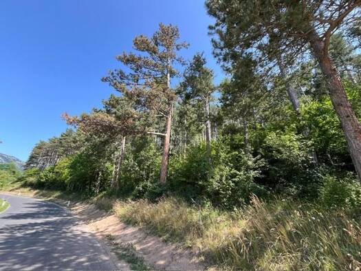 Land-/Forstwirtschaft zum Kauf 52.800 € 25.283 m² Grundstück Unterhöflein 2732