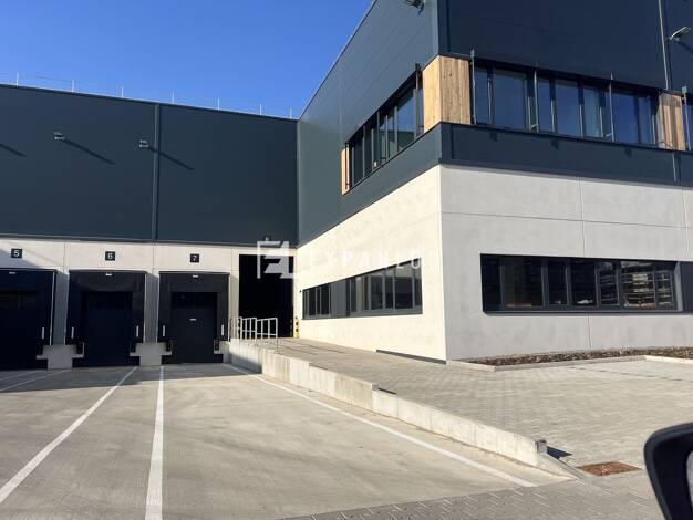 Lagerhalle zur Miete provisionsfrei 1.186 m² Lagerfläche Frechen Frechen 50226