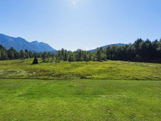 Wohnung zum Kauf 239.000 € 2 Zimmer 49,5 m² 1. Geschoss Inzell Inzell 83334
