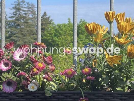 Studio zur Miete Tauschwohnung 750 € 2 Zimmer 55 m² 4. Geschoss Lichterfelde Berlin 12203