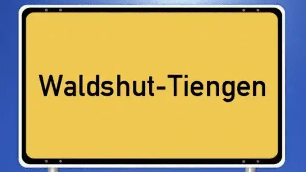 Halle/Industriefläche zum Kauf 1.090.000 € Gurtweil Waldshut-Tiengen 79761