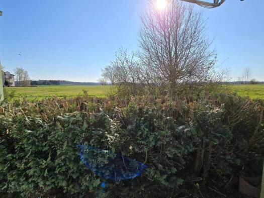 Wohnung zur Miete 430 € 2 Zimmer 65 m² EG frei ab sofort Dittersbach Frankenberg 09669