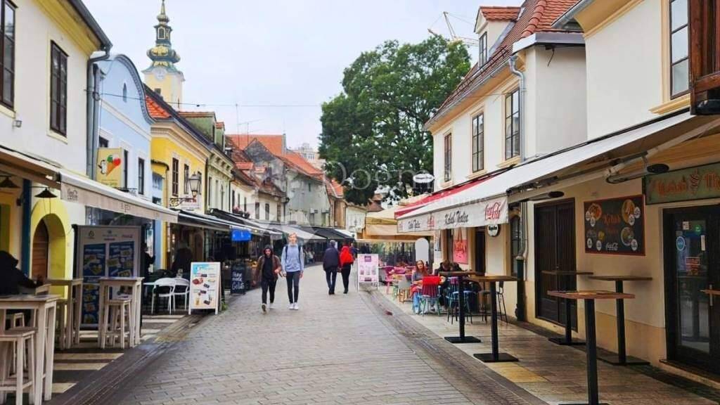 Wohnung zur Miete 1.500 € 3 Zimmer 72 m² 1. Geschoss Medvescak - Salata