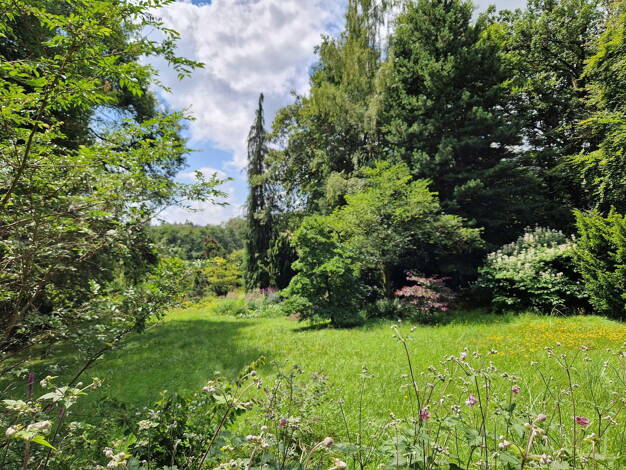 Grundstück zum Kauf provisionsfrei 1.540.000 € 7.053 m² Grundstück Viehweideweg 20 Langenhain Hofheim am Taunus - Langenhain 65719
