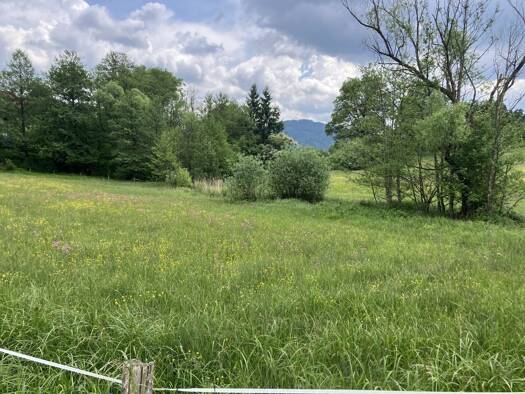 Grundstück zum Kauf 175.000 € 2.000 m² Grundstück St. Georgen am Längsee 9313