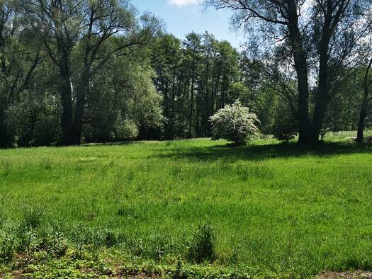 Mehrfamilienhaus zum Kauf als Kapitalanlage geeignet 475.000 € 10 Zimmer 280 m² 1.670 m² Grundstück Twechten Garßen Celle 29229