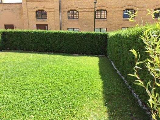 Wohnung zum Kauf provisionsfrei 302.000 € 3 Zimmer 71 m² 1. Geschoss Ilversgehofen Erfurt 99086