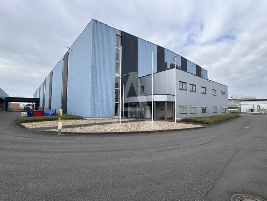 Halle/Industriefläche zur Miete provisionsfrei 3.000 m² Lagerfläche teilbar ab 3.000 m² Niehl Köln 50735