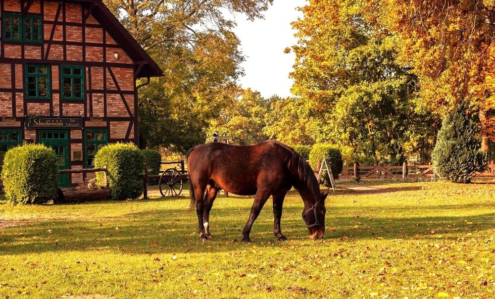 Reiterhof zum Kauf 2.500.000 € Wasserzell Eichstätt 85072