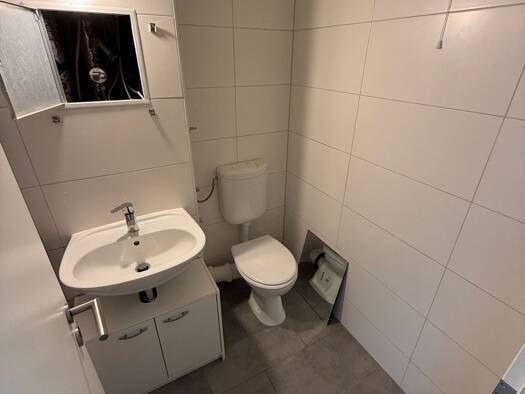 Wohnung zur Miete 283 € 2 Zimmer 41,7 m² 1. Geschoss frei ab sofort Louis-Jentzsch-Straße 3 Silberhöhe Süd 06132