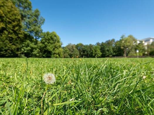 Grundstück zum Kauf 2.100.000 € 887 m² Grundstück Sendling-Westpark München 81369