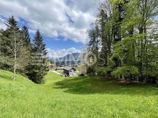 Grundstück zum Kauf 468.000 € 1.300 m² Grundstück Alberschwende 6861