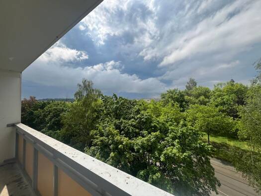 Studio zur Miete 220 € 1 Zimmer 35 m² 4. Geschoss frei ab sofort Neuplanitzer Straße 33 Neuplanitz Zwickau 08062