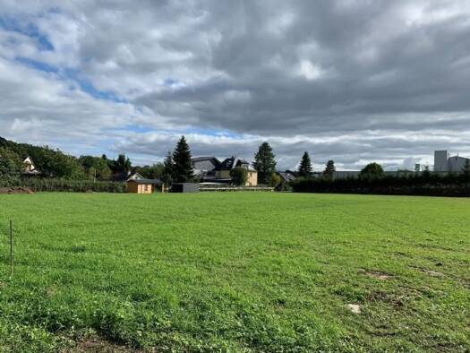 Grundstück zum Kauf 79.900 € 1.000 m² Grundstück Baugenehmigung vorhanden Schwarzwälder Strasse Mengersgereuth-Hämmern Frankenblick 96528