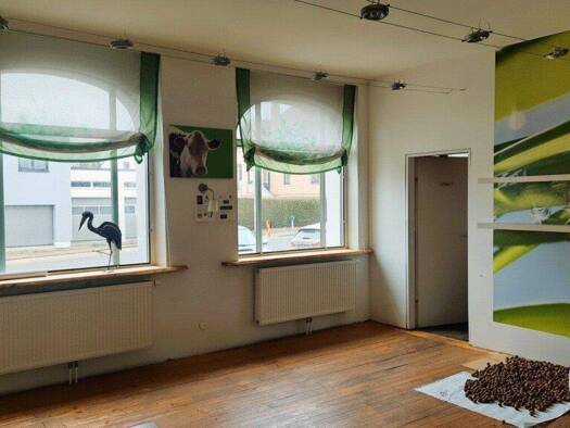 Mehrfamilienhaus zum Kauf 325.000 € 1.425 m² Grundstück Schwarzenau 3900