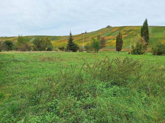 Grundstück zum Kauf 704 m² Grundstück Schnait Weinstadt 71384