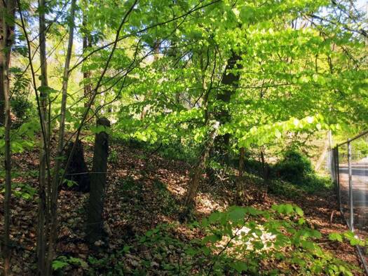 Grundstück zum Kauf 4.490 m² Grundstück Eißendorf Harburg 21077