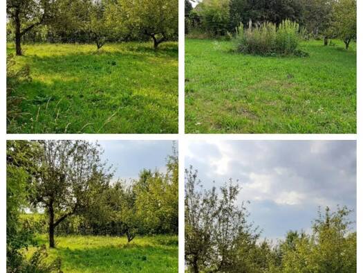 Grundstück zum Kauf 390.000 € 1.012 m² Grundstück Wilhering 4073