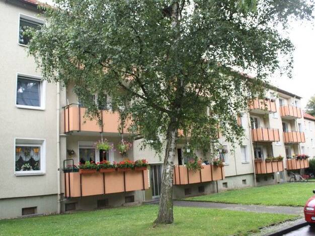 Wohnung zur Miete 477 € 3,5 Zimmer 61,8 m² EG frei ab 01.12.2026 Marmelshagen 6 Hofstede Mitte 44809