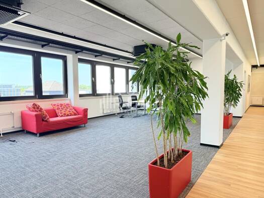 Bürofläche zur Miete provisionsfrei 16,50 € 297 m² Bürofläche teilbar ab 297 m² Braunsfeld Köln 50933