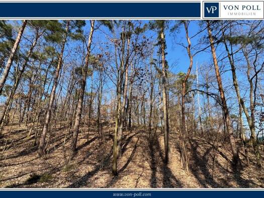 Grundstück zum Kauf 149.000 € 2.740 m² Grundstück Kolberg 15754