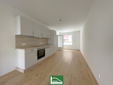 Wohnung zur Miete 592 € 2 Zimmer 55,4 m² 4. Geschoss Idlhofgasse 4 Gries Graz 8020