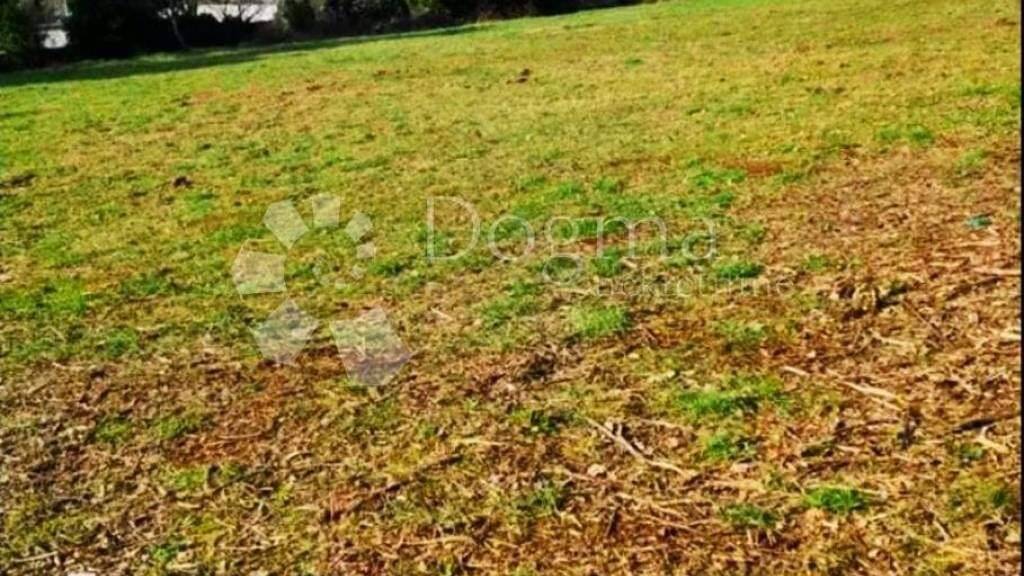 Land-/Forstwirtschaft zum Kauf 135.000 € Centar, Loborika