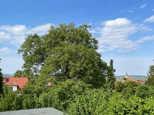 Einfamilienhaus zum Kauf 269.000 € 4 Zimmer 137 m² 662 m² Grundstück Naumburg 06618