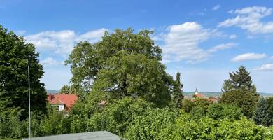 Einfamilienhaus zum Kauf 275.000 € 4 Zimmer 137 m² 662 m² Grundstück Naumburg Naumburg 06618