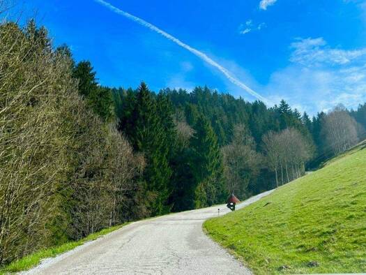 Grundstück zum Kauf 108.750 € 2.175 m² Grundstück Vordertheißenegg 9441