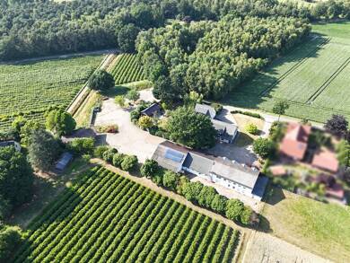 Haus zum Kauf 374.000 € 10 Zimmer 939,4 m² 8.234 m² Grundstück Ströhen Wagenfeld 49419