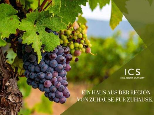 Einfamilienhaus zum Kauf provisionsfrei 880.000 € 5 Zimmer 129 m² 434 m² Grundstück Münchingen Korntal-Münchingen 70825